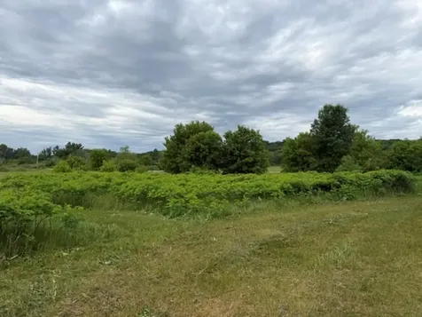 Tract B 113 Street Ashby MN 56309