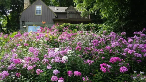 5 Walden Place Northfield MN 55057
