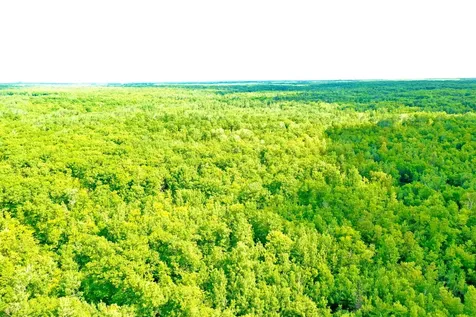Na Burman Road Willow River MN 55795