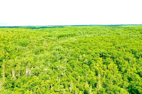 Na Burman Road Willow River MN 55795
