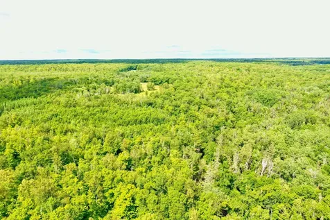 Na Burman Road Willow River MN 55795