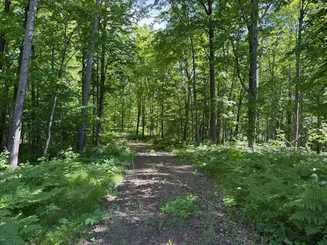 Na Burman Road Willow River MN 55795