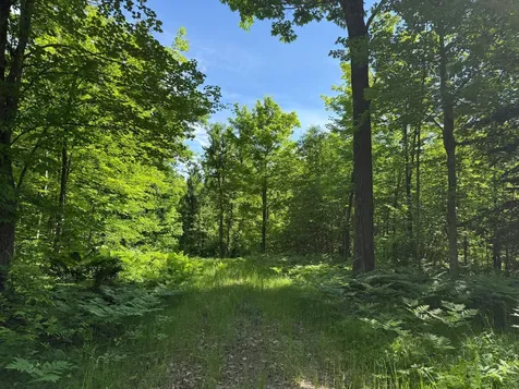 Na Burman Road Willow River MN 55795