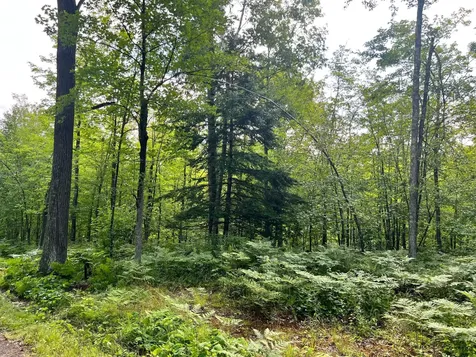 Na Burman Road Willow River MN 55795