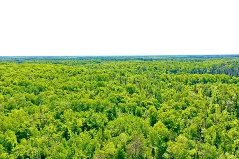 Na Burman Road Willow River MN 55795