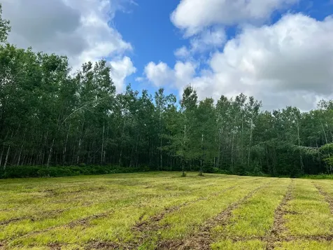 Na Burman Road Willow River MN 55795