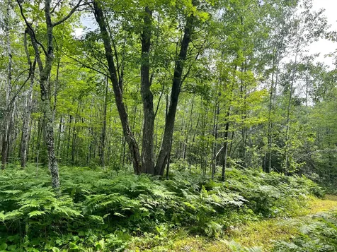 Na Burman Road Willow River MN 55795