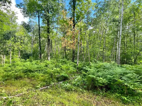 Na Burman Road Willow River MN 55795