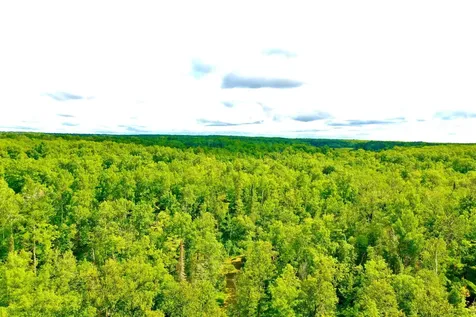 Na Burman Road Willow River MN 55795
