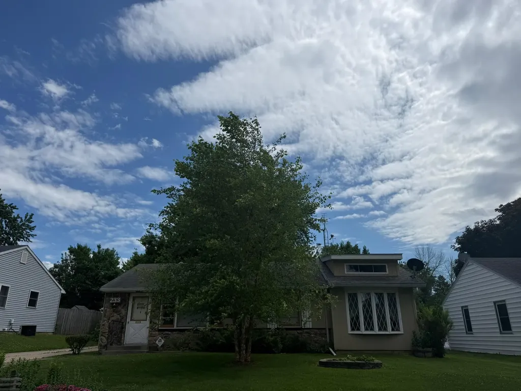 233 E Mckinley Street Owatonna MN 55060
