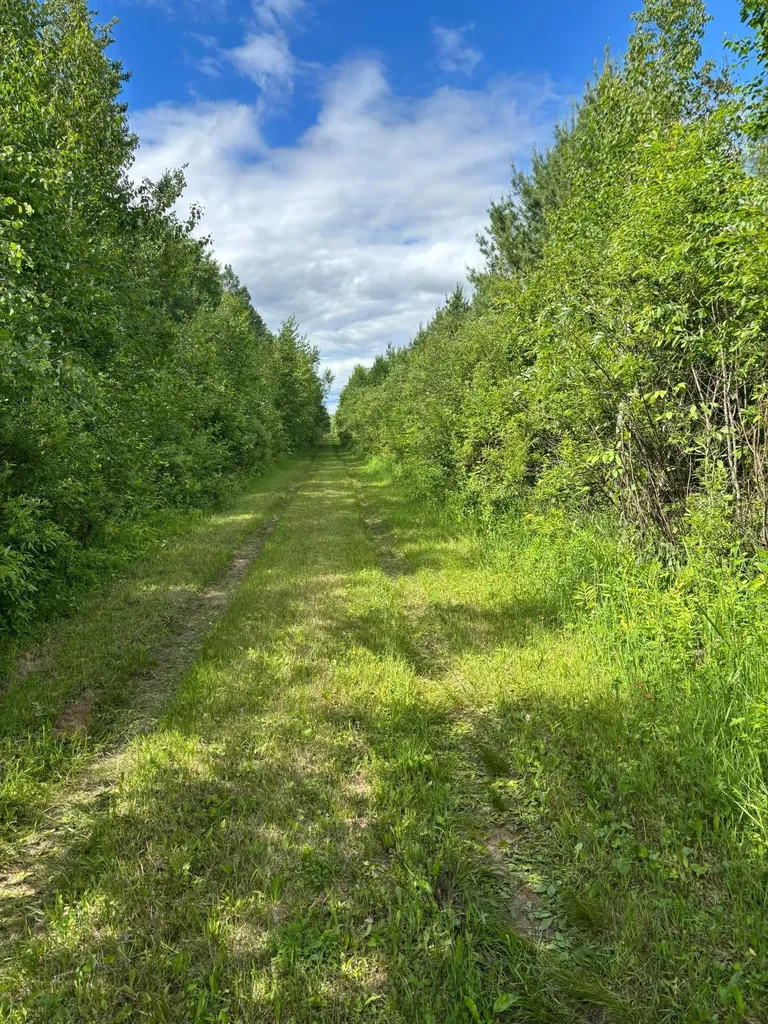 10750 Groningen Road Sandstone MN 55072