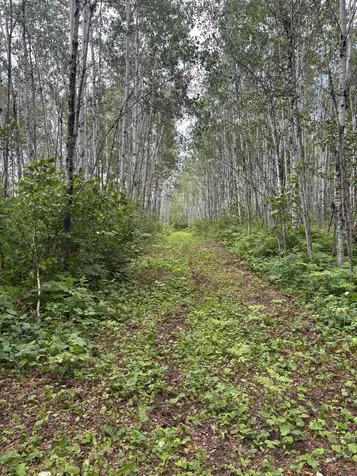 10750 Groningen Road Sandstone MN 55072