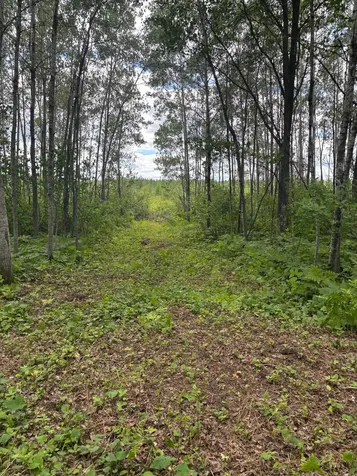 10750 Groningen Road Sandstone MN 55072