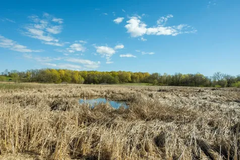 Tract 2 - Tbd State Highway 108 Pelican Rapids MN 56572