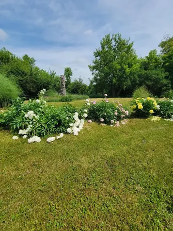 15190 240th Street N Scandia MN 55073