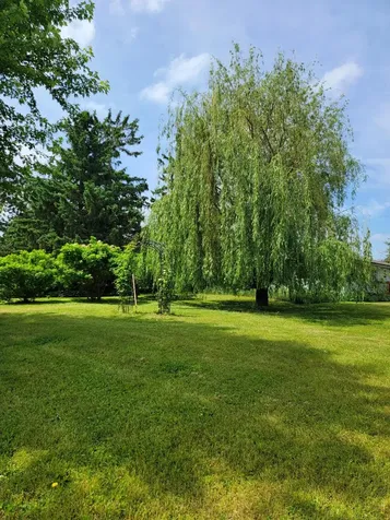 15190 240th Street N Scandia MN 55073