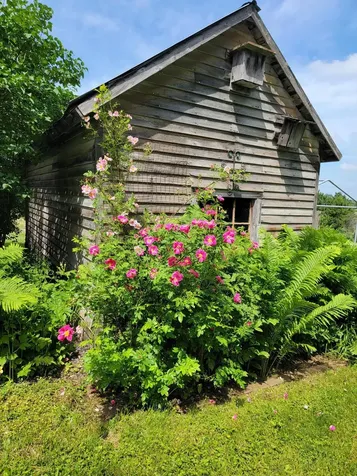 15190 240th Street N Scandia MN 55073
