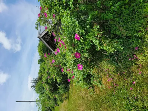 15190 240th Street N Scandia MN 55073
