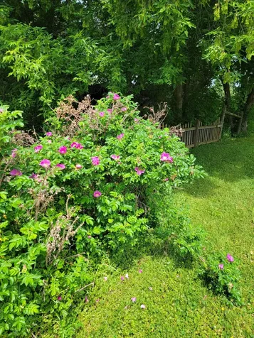 15190 240th Street N Scandia MN 55073