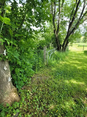 15190 240th Street N Scandia MN 55073