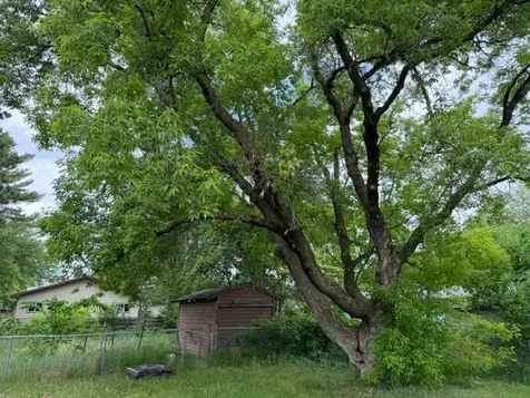 407 Lake Avenue Park Rapids MN 56470