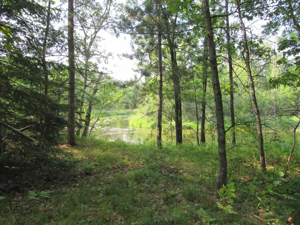 Lots 5-11 Tbd Front Street Front Street Pine River MN 56474
