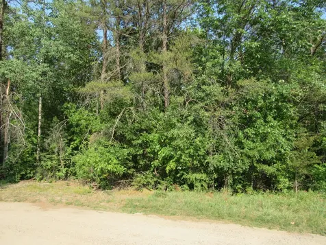 Lots 5-11 Tbd Front Street Front Street Pine River MN 56474