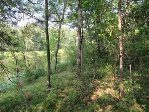 Lots 5-11 Tbd Front Street Front Street Pine River MN 56474