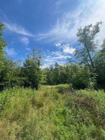 32530 186th Street Isle MN 56342