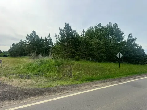 Tbd Tract 1 County 13 Nevis MN 56467
