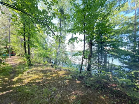 28288 Junco Drive Nevis MN 56467