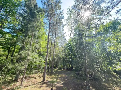 28288 Junco Drive Nevis MN 56467