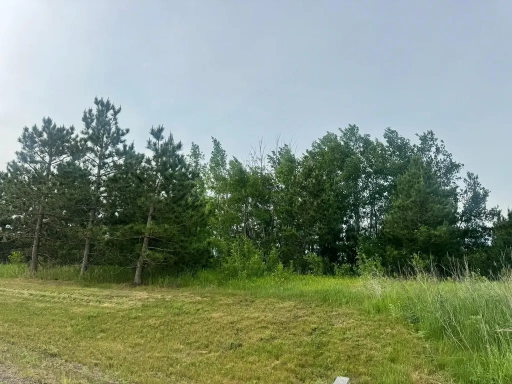 Tbd Tract 3 County 13 Nevis MN 56467