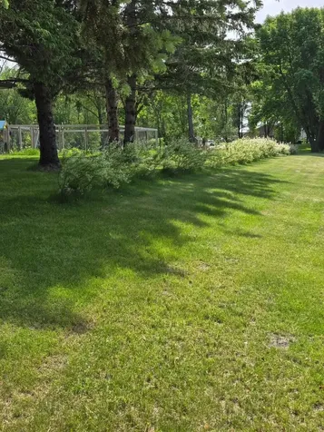 427 Lori Lane Litchfield MN 55355