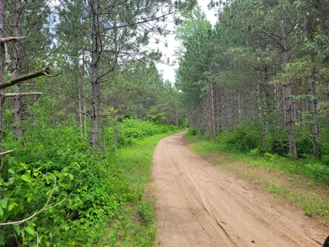 1045B State Trail Nevis MN 56467