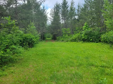 1045B State Trail Nevis MN 56467