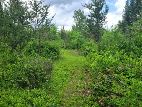 1045B State Trail Nevis MN 56467