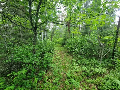 1045B State Trail Nevis MN 56467