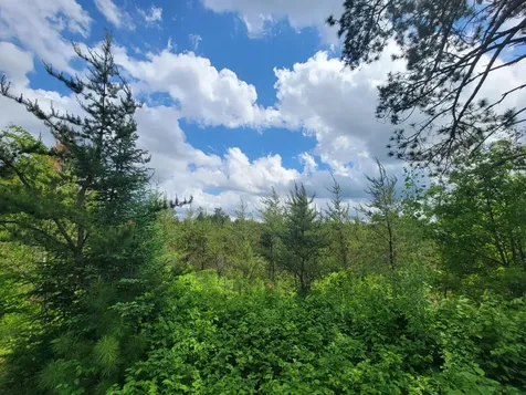 1045B State Trail Nevis MN 56467