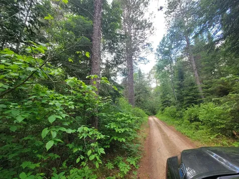 1045B State Trail Nevis MN 56467