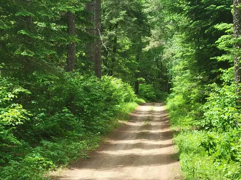 1045B State Trail Nevis MN 56467