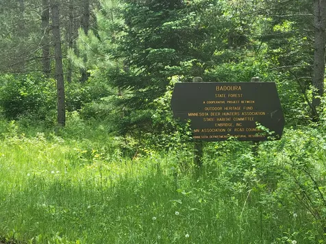 1045B State Trail Nevis MN 56467