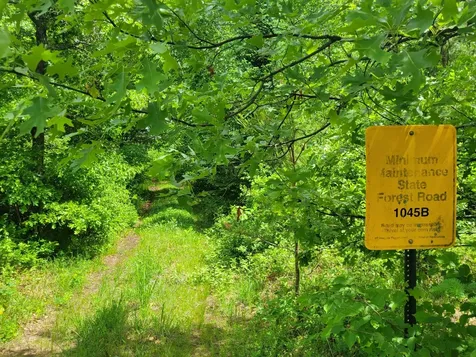 1045B State Trail Nevis MN 56467