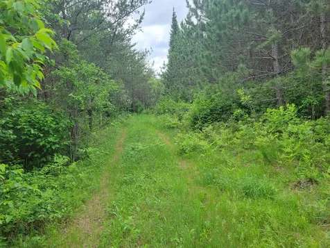 1045B State Trail Nevis MN 56467