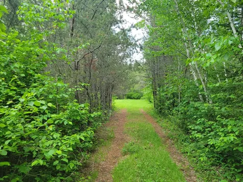 1045B State Trail Nevis MN 56467