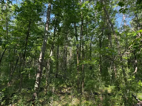 Tbd 270th Street Sebeka MN 56477