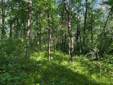 Tbd 270th Street Sebeka MN 56477