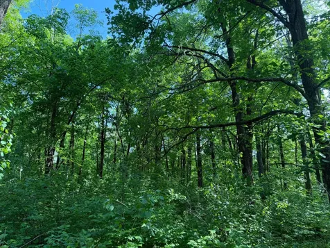 Tbd 270th Street Sebeka MN 56477