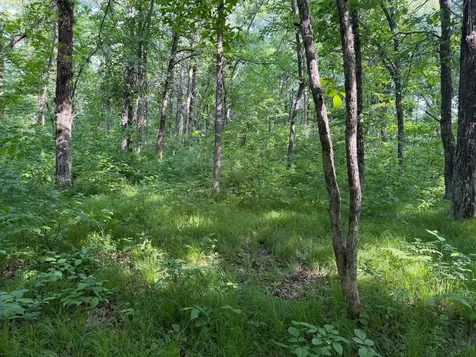 Tbd 270th Street Sebeka MN 56477