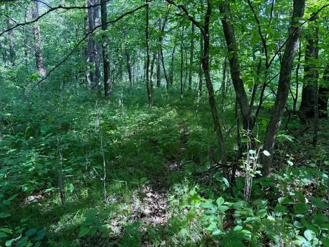 Tbd 270th Street Sebeka MN 56477